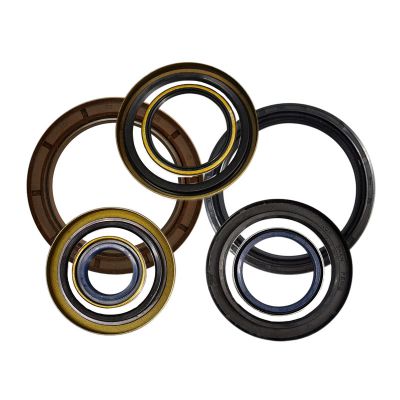 Customized Different Types Framework Oil Seal and Rotary Oil Seal