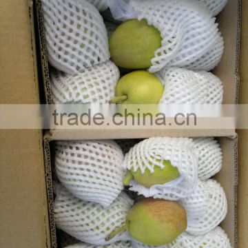 fresh Korla pear direct supplier from china