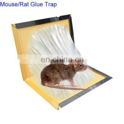 China Manufacturer Mouse Trap Sticky Board Glue Pad mice poison