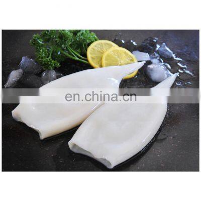 Good quality frozen squid tube skinless