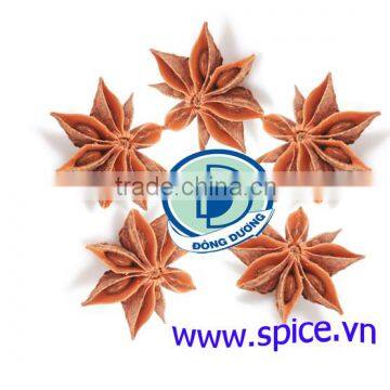 Vietnam Star Aniseed