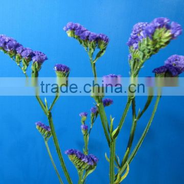 Diversified in packaging top sell wedding decoration myosotis flower