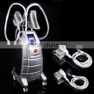 Affordable price factory price 4 handles cryolipolysis fat freezing aesthetic device cryolipolyse