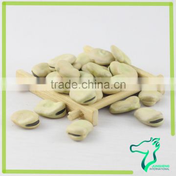 Dry Broad Beans Price, Fava Beans 2015