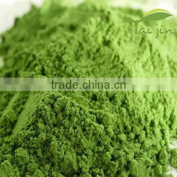Highly Recommended Natural Top Quality Barley Grass Powder