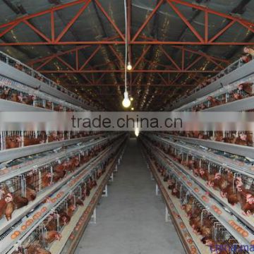 Hens farms layer chicken cage for chicken eggs A type chicken cage for 96 egg chickens per set