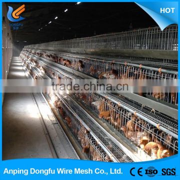 wholesale products design layer chicken cage for poultry farm