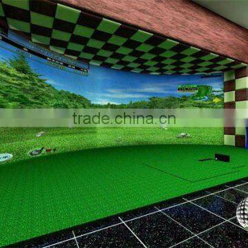3D screen simulated golf