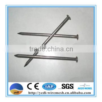 cheap professional round common nails for sale