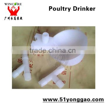 poultry drinker for pigeons