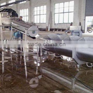 Automatic Chicken Feet Plant