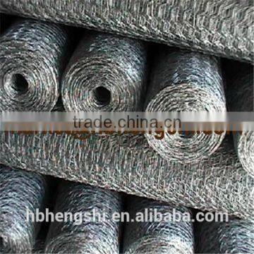 high quality Galvanized Welded Wire Mesh Panel