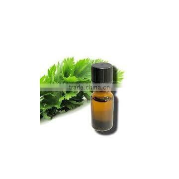 celery oil