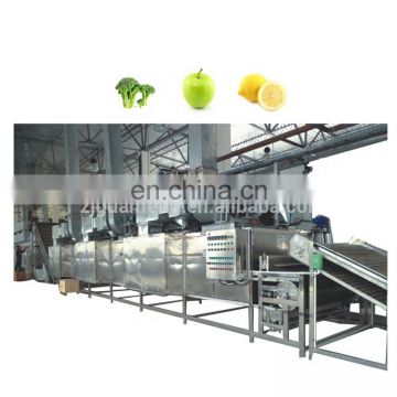 Fruit And Vegetable Dehydrator machine industrial Belt Dryer Price