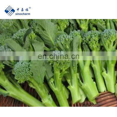 Sinocharm New Product IQF Vegetable L 7-16cm DIA 2-6cm Bulk Frozen Broccolini