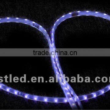 flexible led strip lights AC 220v DC12v
