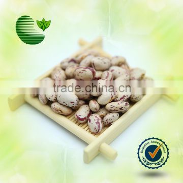 Light Speckled Kidney Beans, American round type