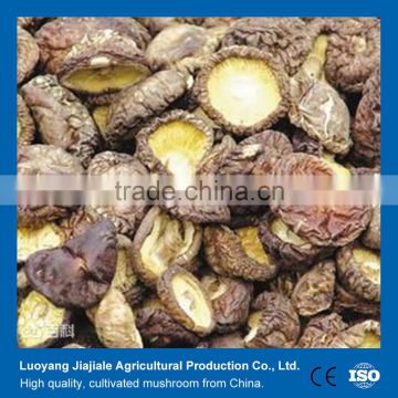 Best Seller of Organic Dried Lentinus edodes/ dried shiitake mushroom