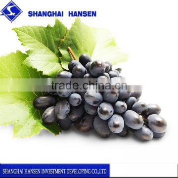American Black Grapes import agent and customs clearance in shanghai