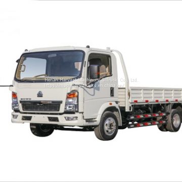 SINOTRUK HOWO 3 Ton Light Cargo Truck Low Price 4x2 Lorry Truck