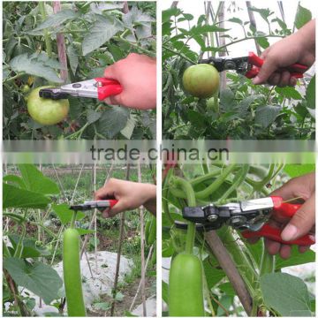 Multi-function professional pruning clamp