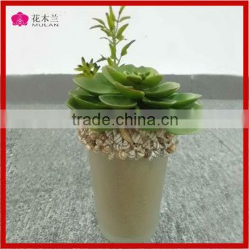 Hot Sale Real Touch Green Plants in Glass Pot Mini Succulents