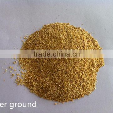 Air dried ginger ground -YY spice