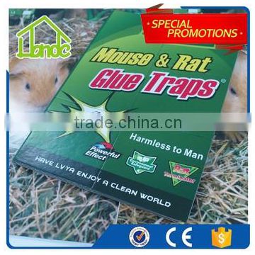 Rat Mouse Glue Trap HD03667