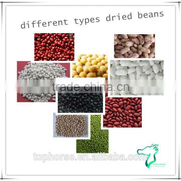 Different Types Dried Beans For Sale