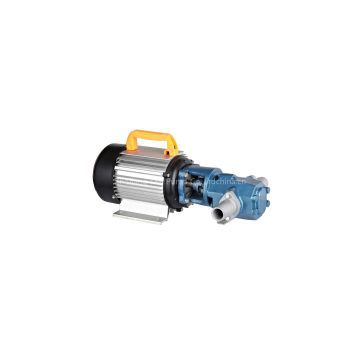 WCB 220v 380v SS CI portable micro gear pump diesel oil transfer pump