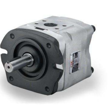 V23a3r-10x Loader Yeoshe Hydraulic Piston Pump Side Port Type