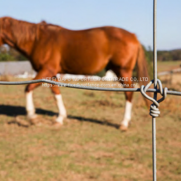 Strong Durable fixed knot woven wire mesh horse fence
