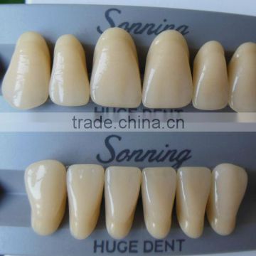 Acrylic Teeth Sonning Anterior Huge Dental