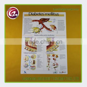 Factory price wall chart