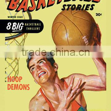All Basketball Stories: Hoop Demons 20x30 poster