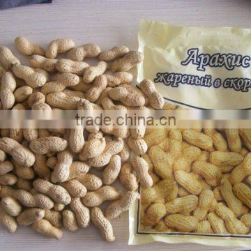 shandong 2015 crop bulk roasted peanuts