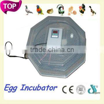 DFPets DFI001 Popular quail egg incubator hatcher