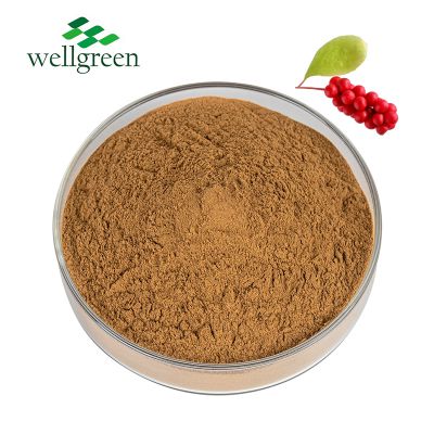 Wellgreen Factory Free Sample 2%, 5%, 9% Schisandra Chinensis Extract Schisandra Extract Schisandra Powder