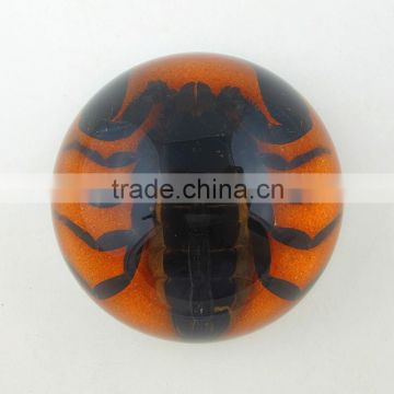 2016 New design wholesale paperweight with real insect
