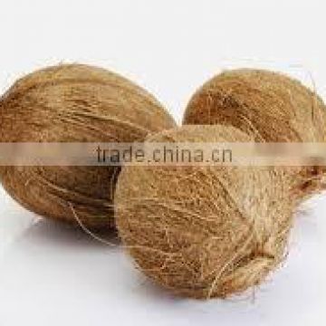 High quality semi husked fresh coconut