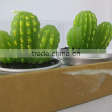 Best selling lovely cactus cute plant candle decor