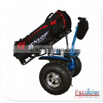 OEM Escooter huge business opportunity green-energy rechargeable battery powered electric golf cart scooter