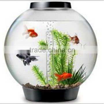 Fish tanks online