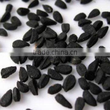 Nigella Sativa Seeds Manufacturer