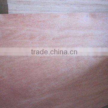 Bintangor plywood 2.1mm,2.7mm3.2mm,4.5mm,5mm