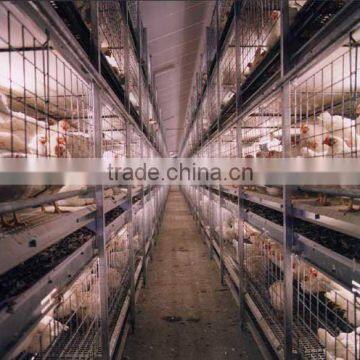 Poultry Equipments