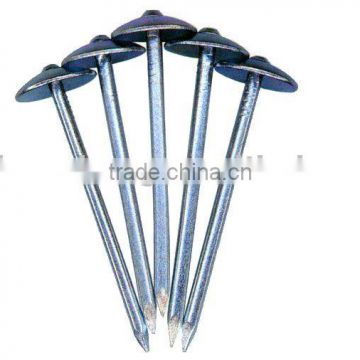 Roofing Nails