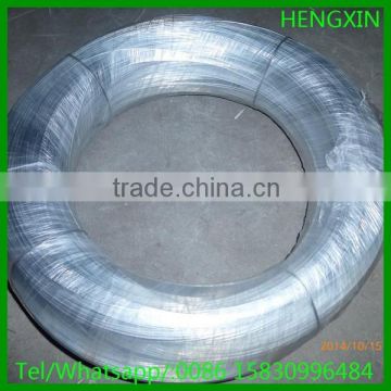 Best Quality electro galvanized iron wire(Fctory Price)