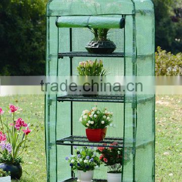 Clear Mini Greenhouse