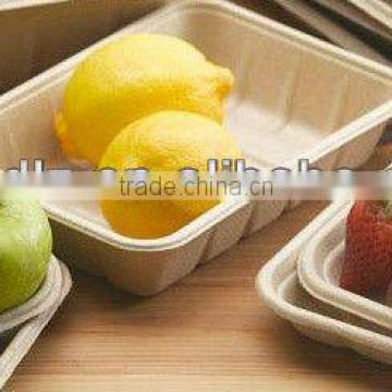 Eco-friendly Freezer Safe Fruit & Vegetable Tray